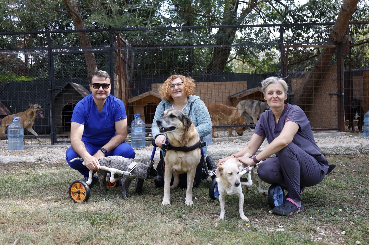 Sokak hayvanları için umudun adresi özel bakım evi oldu