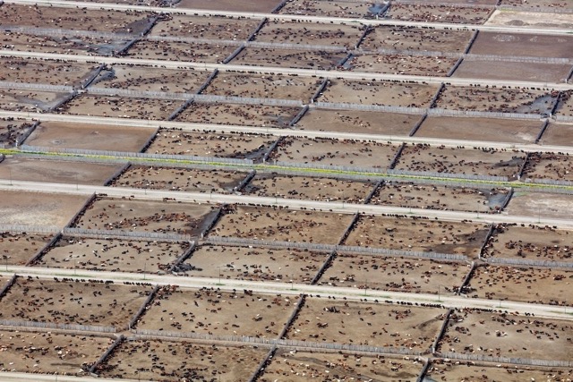 Endüstriyel Hayvancılık, Küresel İklim Hedeflerini Tehdit Ediyor