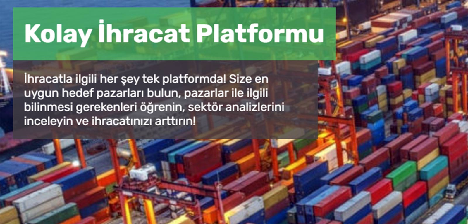 Yapay Zekadan Veri Analizine Bilvio İhracat Süreçlerini Nasıl Kolaylaştırıyor?