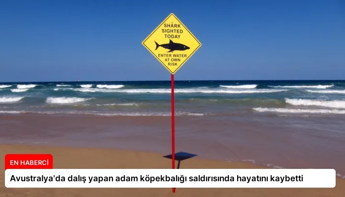 Avustralya’da dalış yapan adam köpekbalığı saldırısında hayatını kaybetti