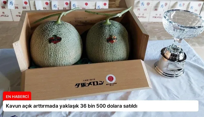 Kavun açık arttırmada yaklaşık 36 bin 500 dolara satıldı