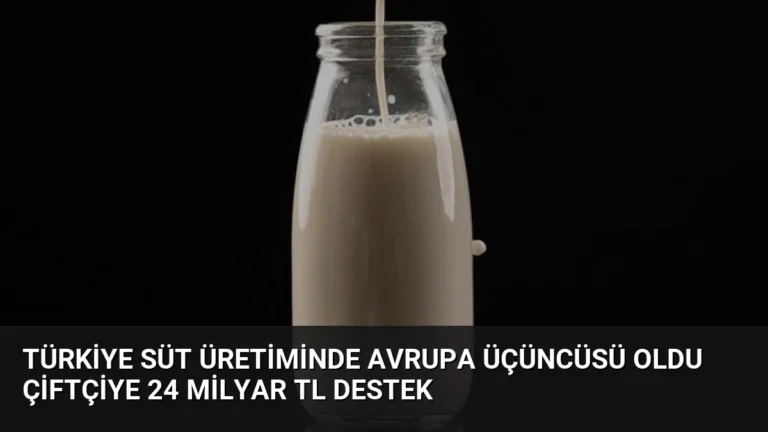 Türkiye Süt Üretiminde Avrupa Üçüncüsü Oldu Çiftçiye 24 Milyar TL Destek