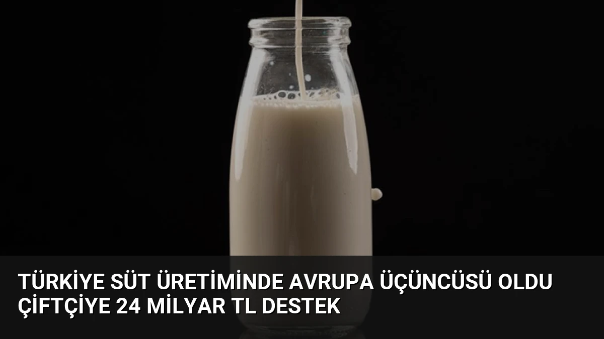Türkiye Süt Üretiminde Avrupa Üçüncüsü Oldu Çiftçiye 24 Milyar TL Destek
