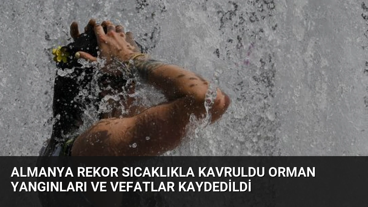 Almanya Rekor Sıcaklıkla Kavruldu Orman Yangınları ve Vefatlar Kaydedildi