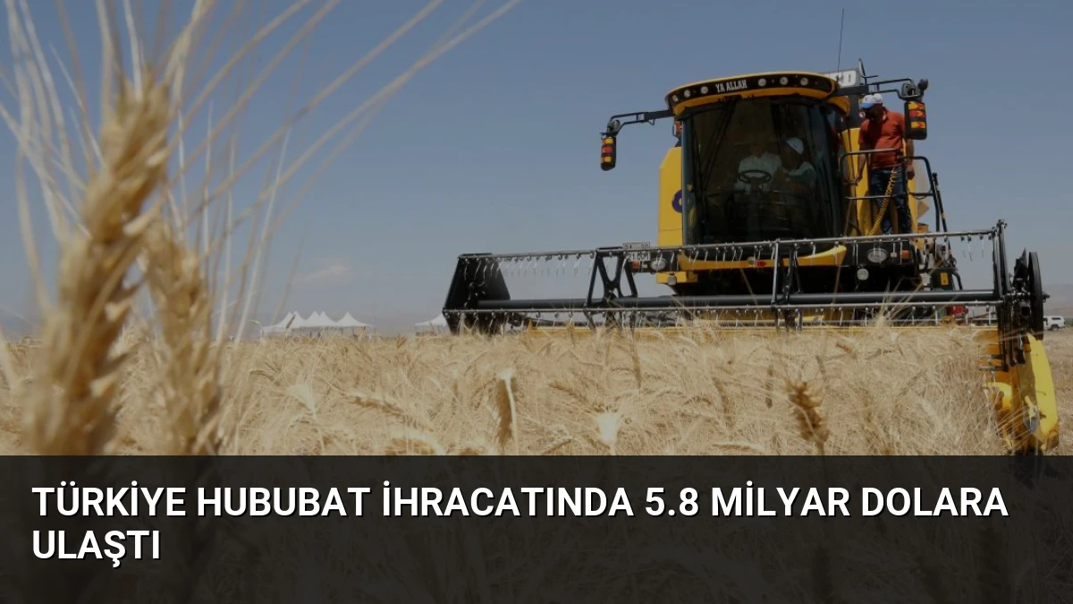 Türkiye Hububat İhracatında 5.8 Milyar Dolara Ulaştı